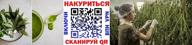 Canna-Cookies марихуана  купить закладку  Староминская 