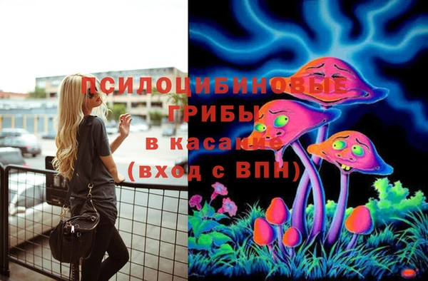 соль ск Киренск